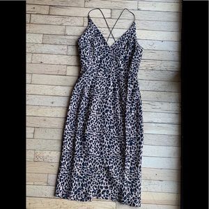 Top Shop Leopard Dress